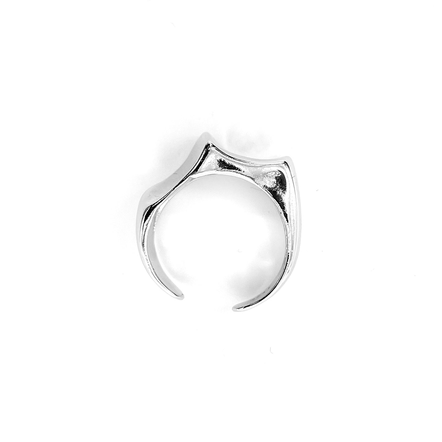LIQUID BUCK RING